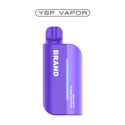 Penne à vapotage rechargeable 15000 Puffs Pod système Vape bobine en maille préremplie