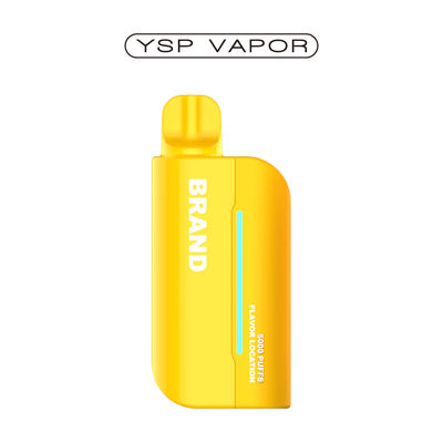 Penne à vapotage rechargeable 15000 Puffs Pod système Vape bobine en maille préremplie