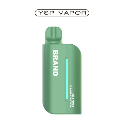Penne à vapotage rechargeable 15000 Puffs Pod système Vape bobine en maille préremplie
