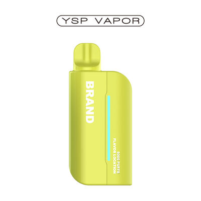 Penne à vapotage rechargeable 15000 Puffs Pod système Vape bobine en maille préremplie