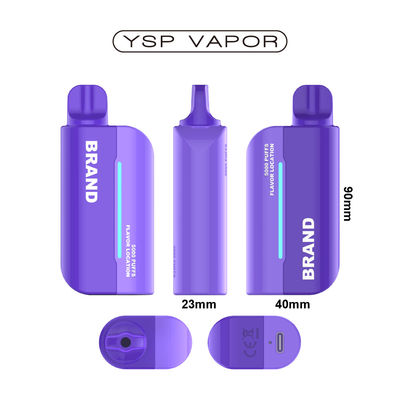 Penne à vapotage rechargeable 15000 Puffs Pod système Vape bobine en maille préremplie
