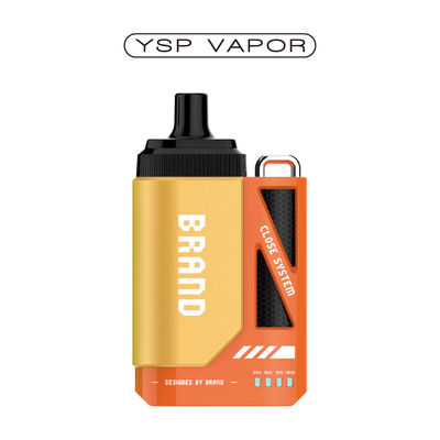Cigarette électronique 6000 bouffées Système de capsule de vapotage 10 ml Système de capsule rechargeable