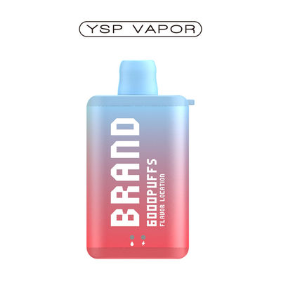 10 ml 6000 Puff Vape E Cigarette Boîte de vapotage rechargeable jetable