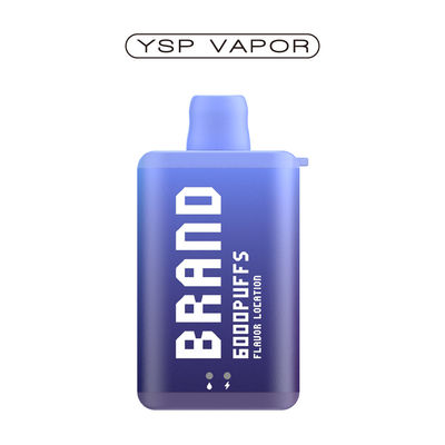 10 ml 6000 Puff Vape E Cigarette Boîte de vapotage rechargeable jetable