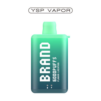 10 ml 6000 Puff Vape E Cigarette Boîte de vapotage rechargeable jetable