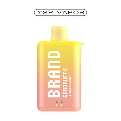 10 ml 6000 Puff Vape E Cigarette Boîte de vapotage rechargeable jetable