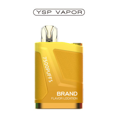 16000 bouffées de vapotage jetable 2% stylo de vapotage de nicotine rechargeable