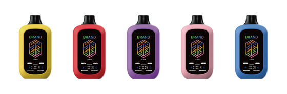 5% de nicotine 15000+ Bouffées AIO Dispositif 15 ml Grand écran Airflow réglable E Vaporisateur Personnalisé 10+ saveurs